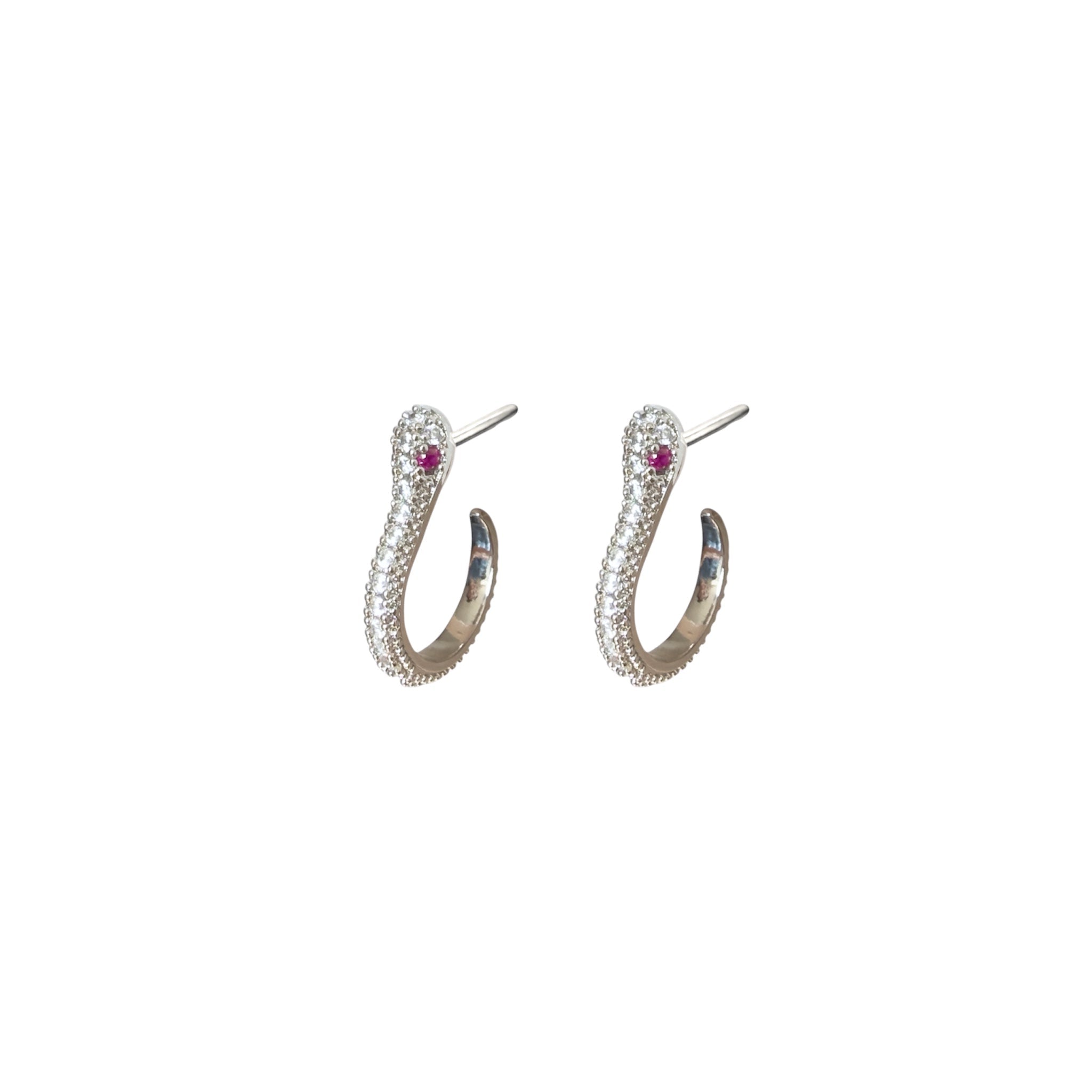 Aretes Shiny Snake Hoops